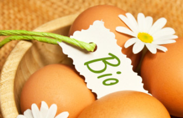 produits bio